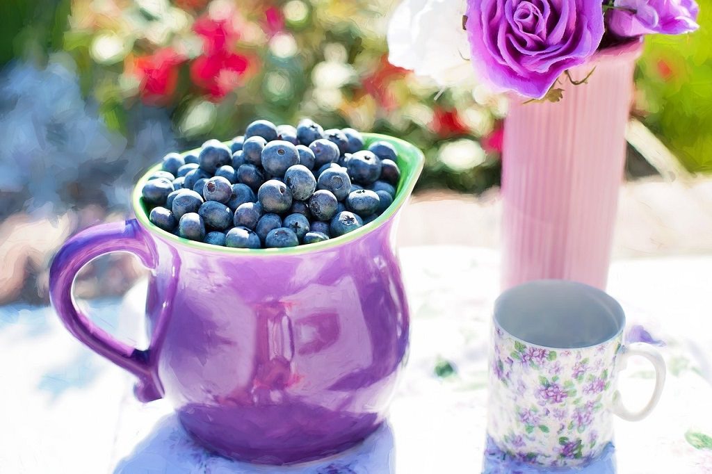 Heidelbeeren Bowle