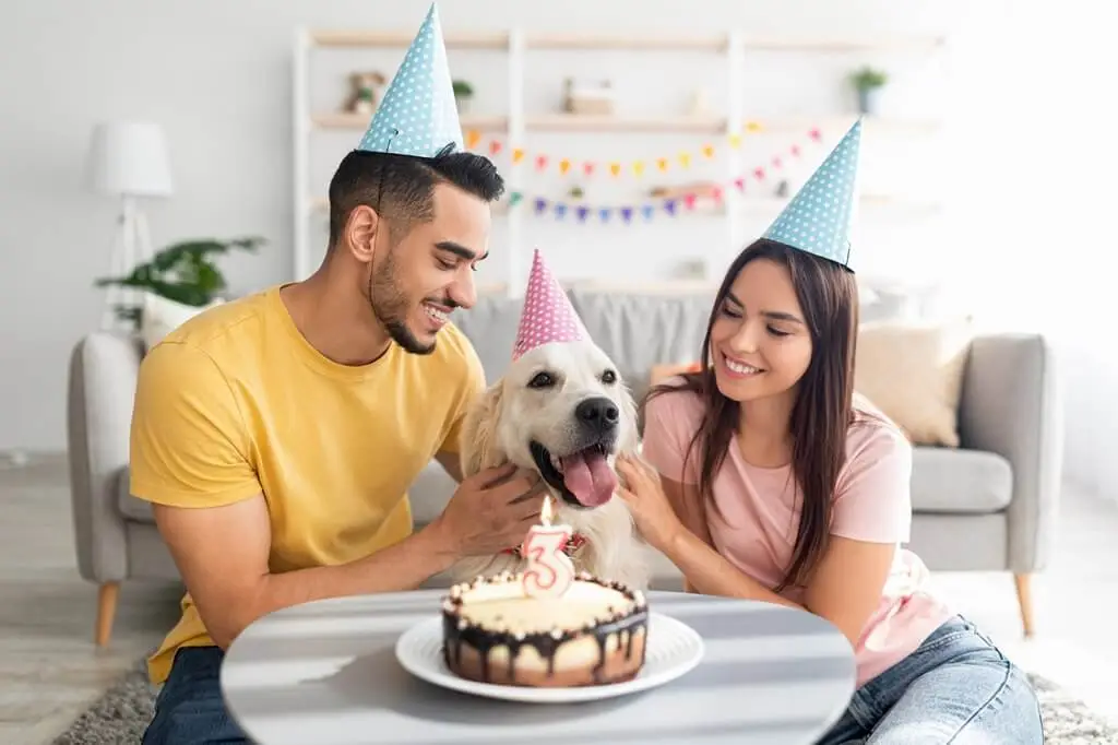 Geburtstagsparty für den besten Freund des Menschen 2 Hunde Geburtstagsparty